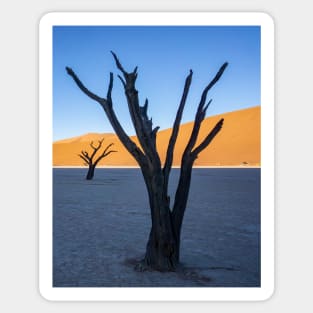 Tree on salt pan. Sticker